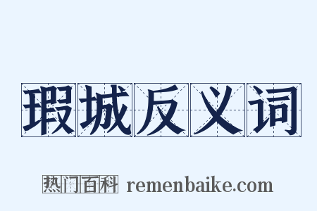 瑕城反义词是什么意思的图片